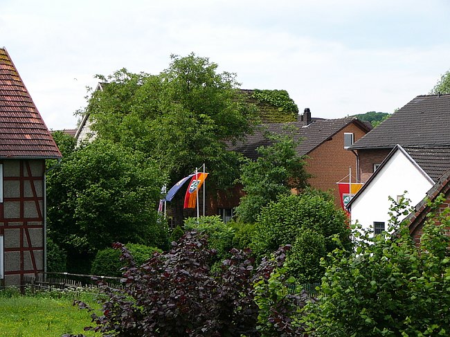 P1000396