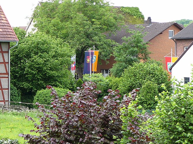 P1000397