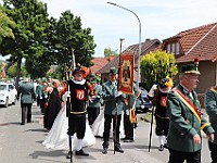 IMG 7474