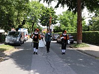IMG 7494