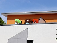 IMG 7513