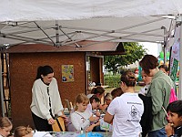 IMG 7652